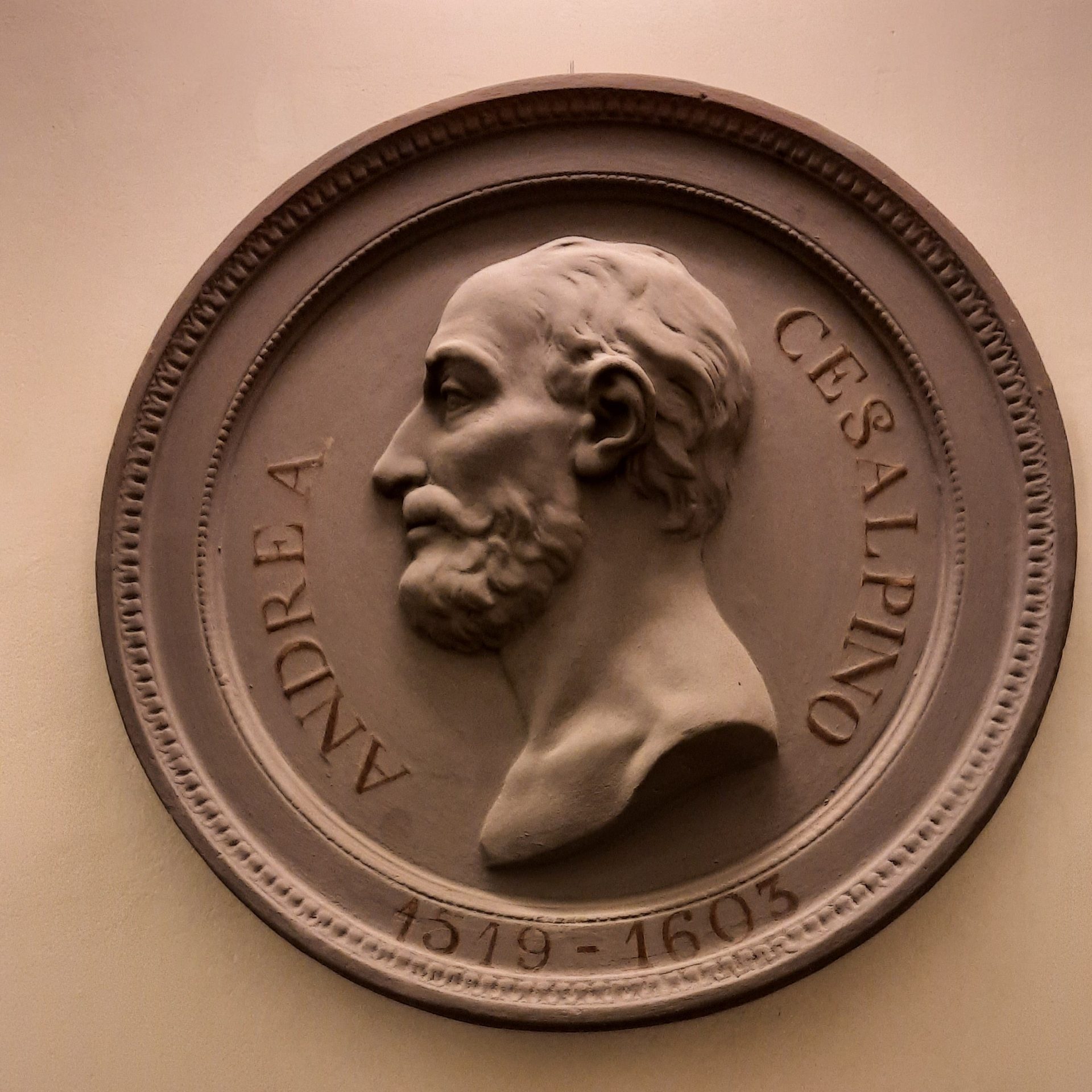 Andrea%20Cesalpino%27s%20bas-relief%2C%20Museo%20Galileo%2C%20Florence.jpg